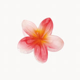 Hawaiian flower hair clip - Red