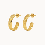 Lexa Earrings - Gold Plated